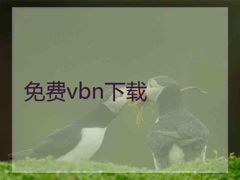 免费vbn下载