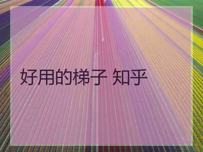 好用的梯子 知乎