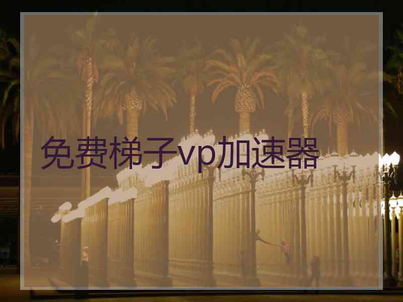 免费梯子vp加速器