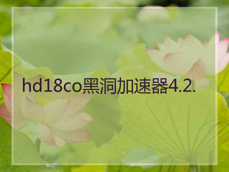 hd18co黑洞加速器4.2.