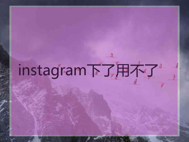 instagram下了用不了