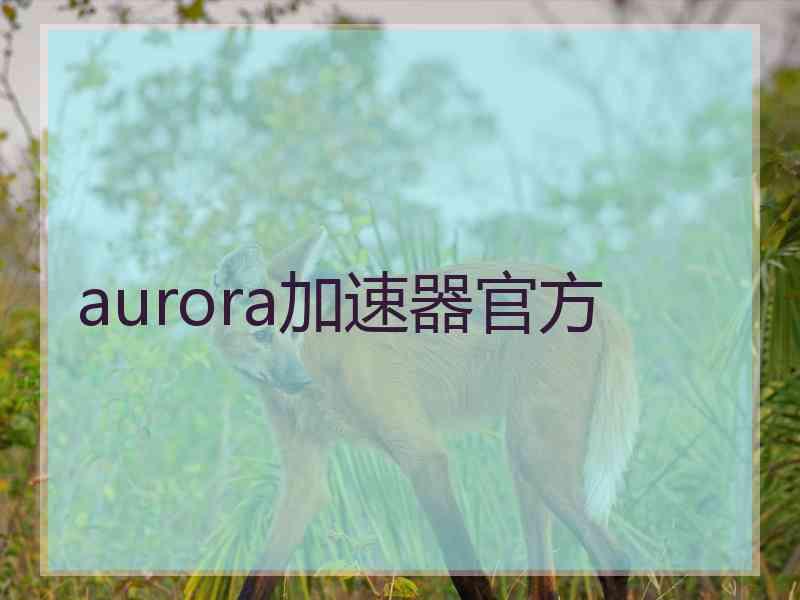 aurora加速器官方