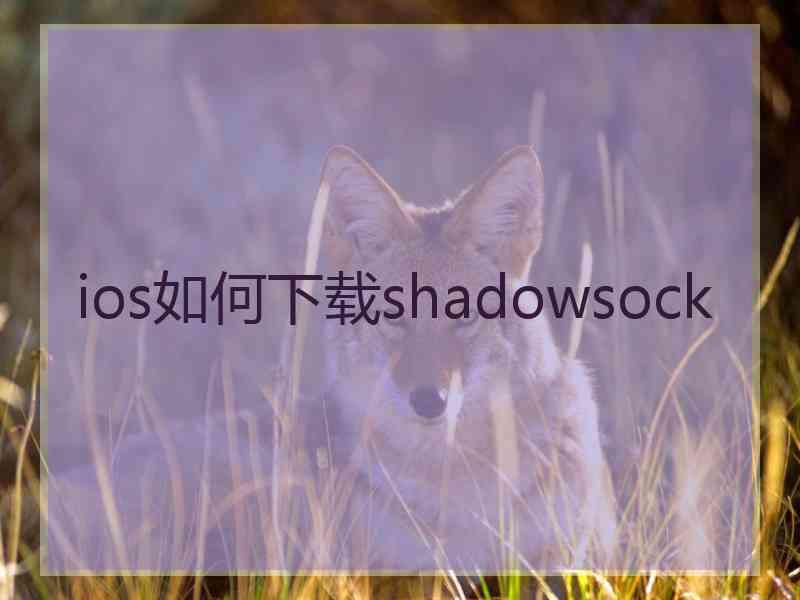 ios如何下载shadowsock