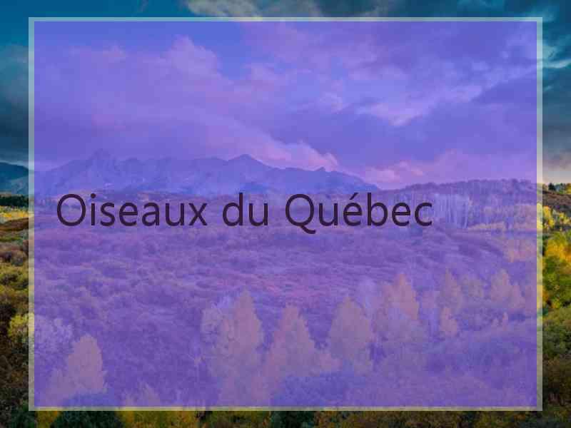 Oiseaux du Québec