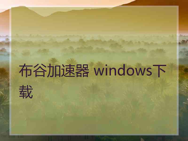 布谷加速器 windows下载