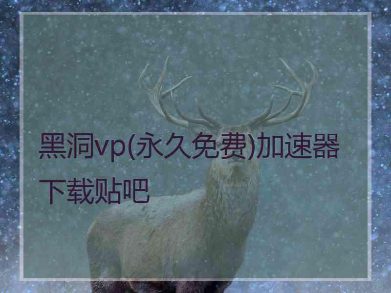 黑洞vp(永久免费)加速器下载贴吧