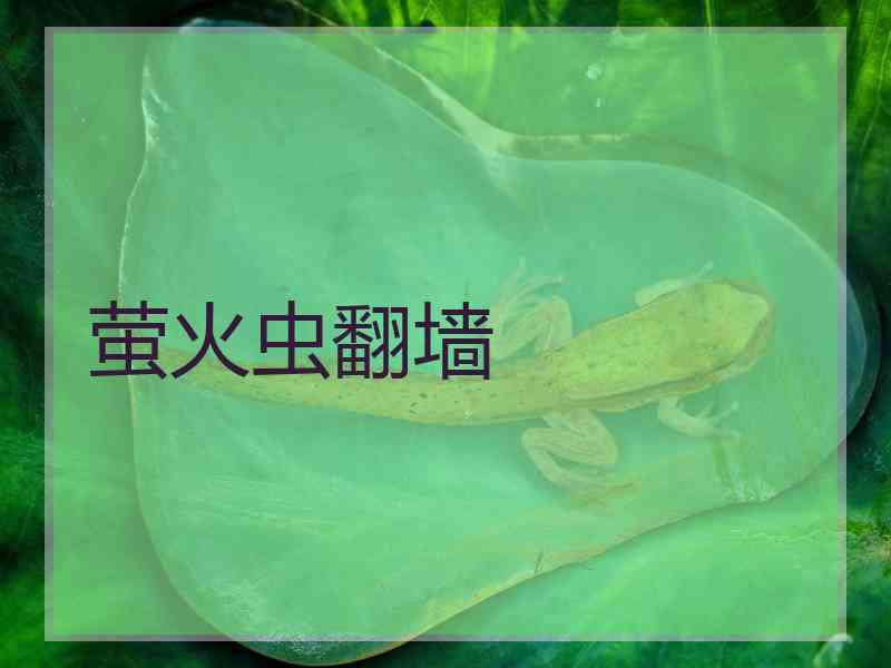 萤火虫翻墙