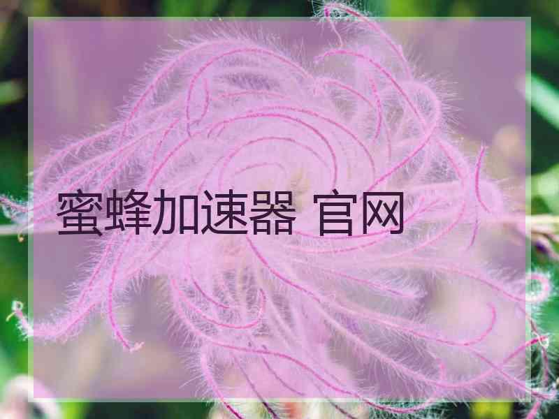 蜜蜂加速器 官网