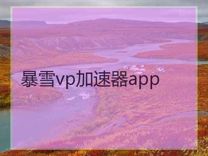 暴雪vp加速器app